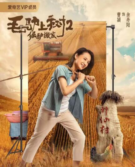 午夜精品不卡电影在线观看